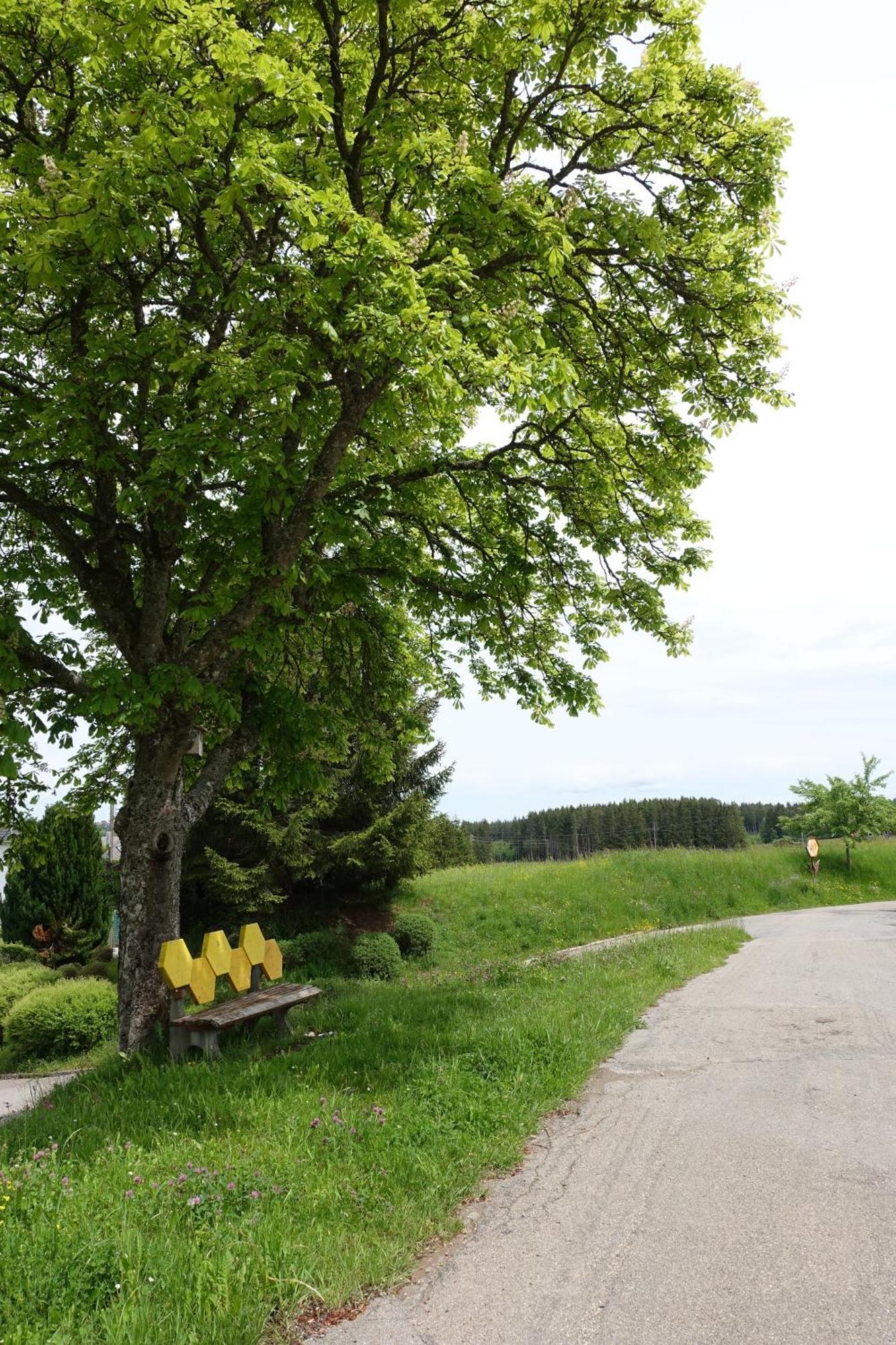 Blick In Den Garten Holzschlag エクステリア 写真